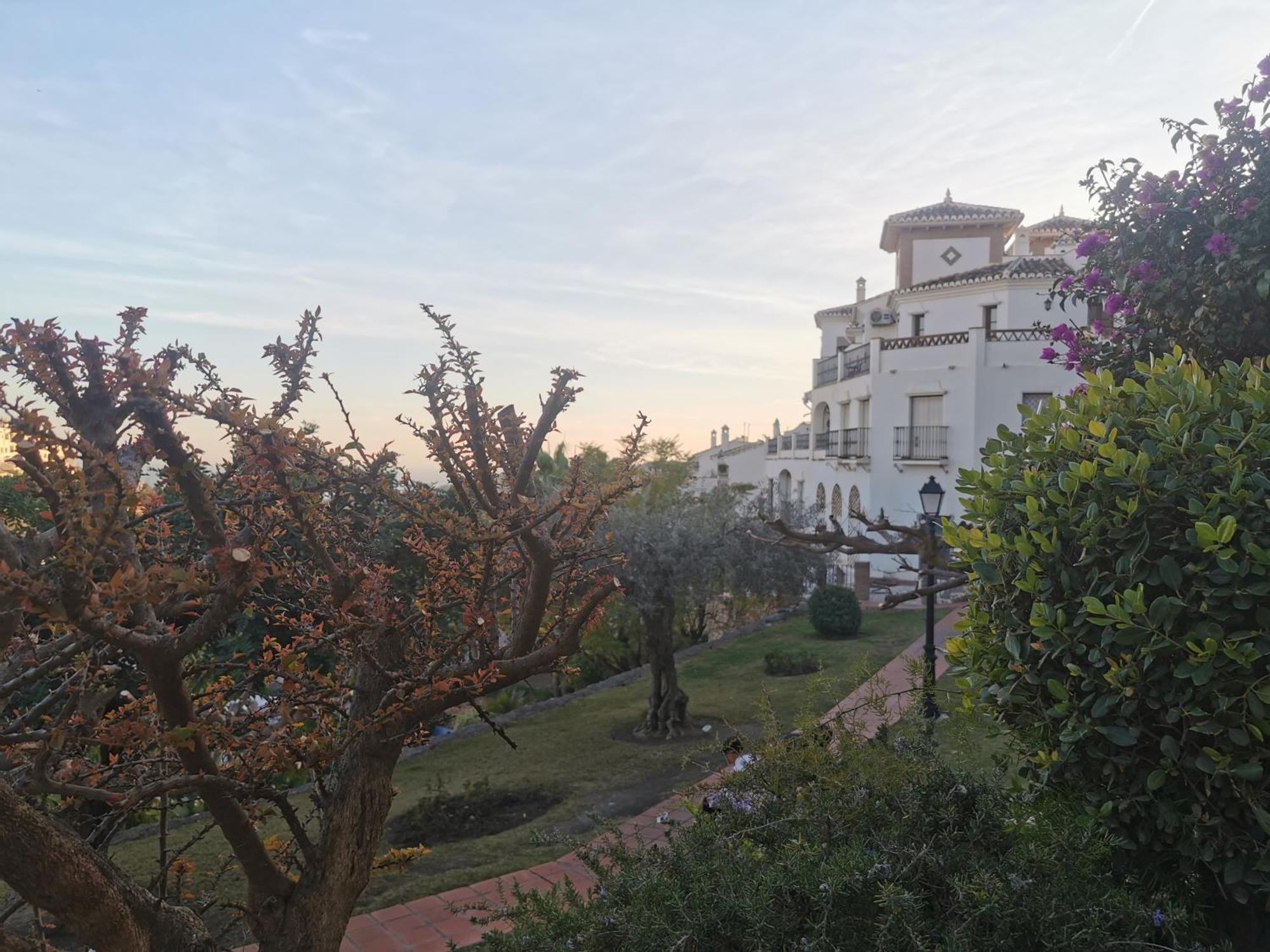 Apartamento Maria Platero Centrico Y Con Las Mejores Vistas Del Casco Antiguo La Montana Y El Mar Mediterraneo 弗里希利亚纳 外观 照片
